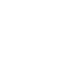 Lovrenich Foundation